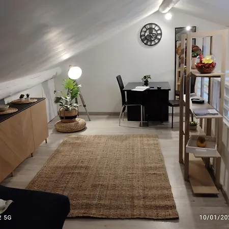 Un Nid Sur Les Toits Avec Terrasse Apartment
